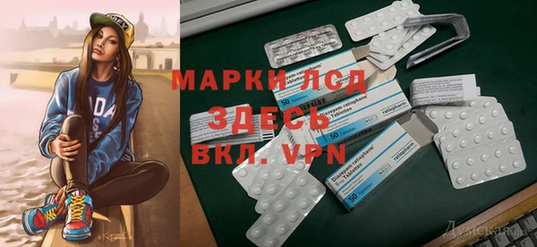 сатива Алзамай