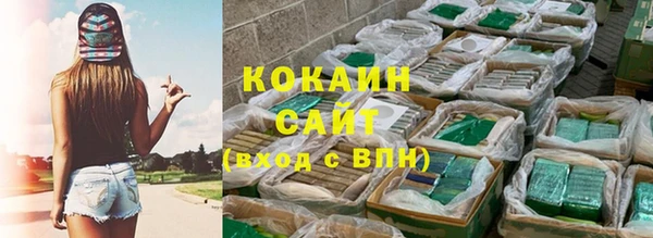 сатива Алзамай